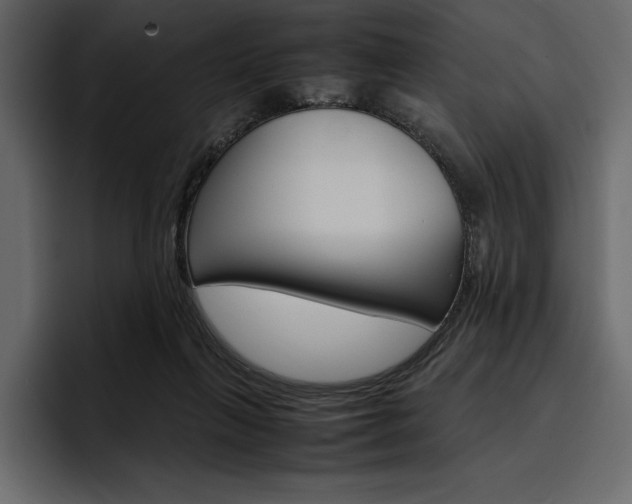 X0000097480263200802220826