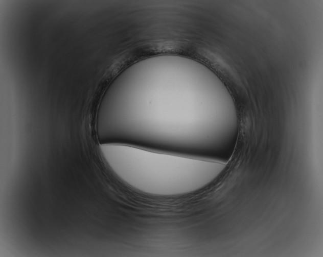 X0000097480264200802220826