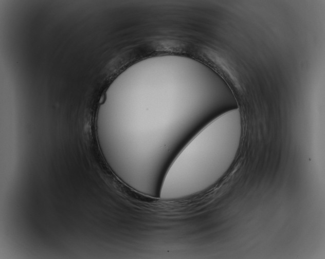 X0000097480265200802220826