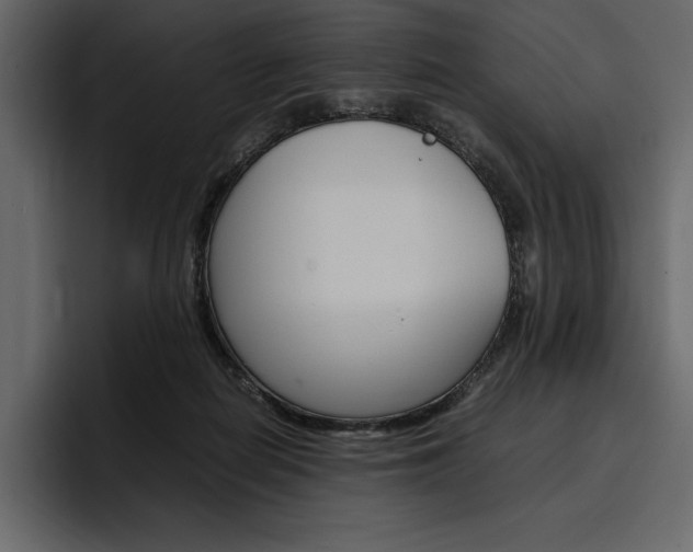 X0000097480266200802220826