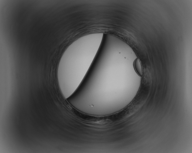 X0000097480267200802220826