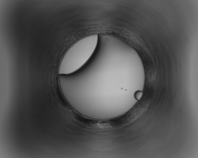 X0000097480270200802220826