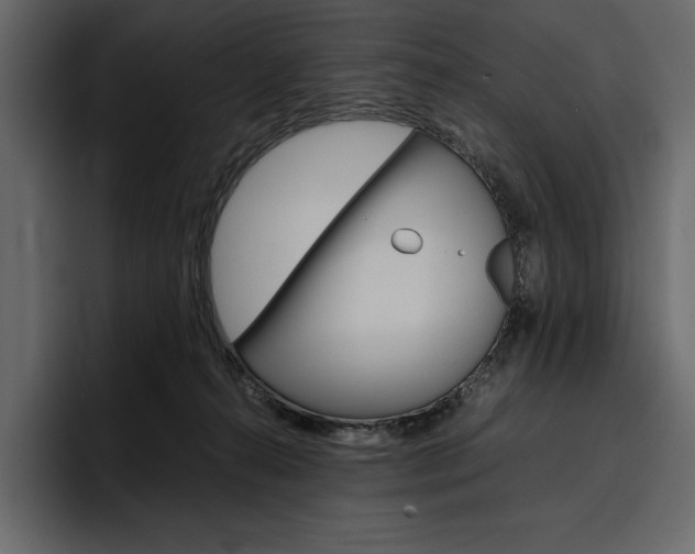 X0000097480272200802220826
