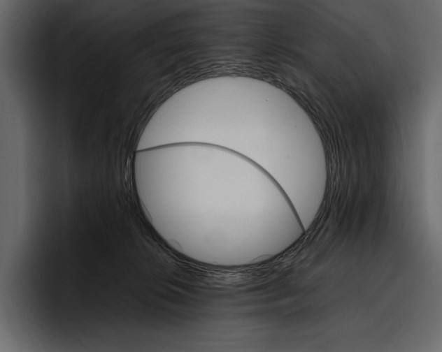 X0000097480276200802220826