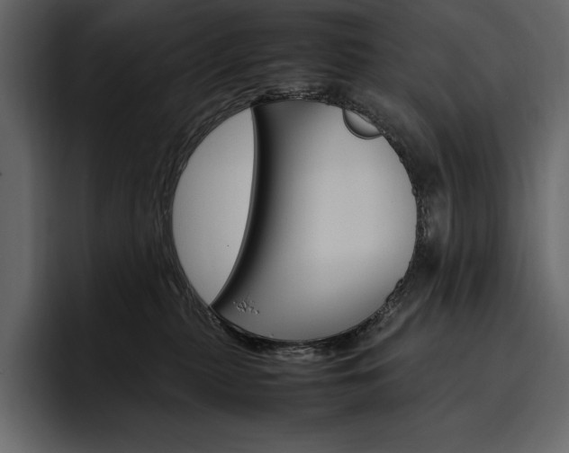 X0000097480279200802220826