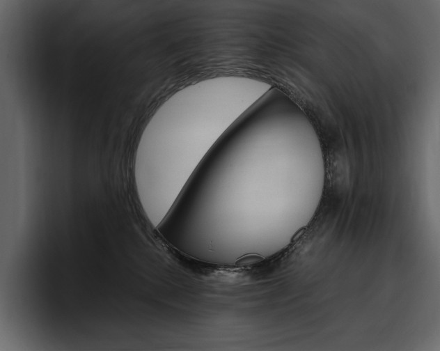 X0000097480280200802220826
