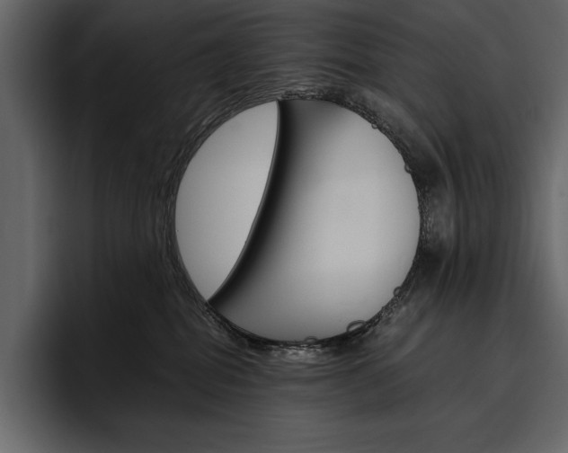 X0000097480282200802220827