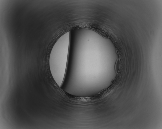 X0000097480288200802220827