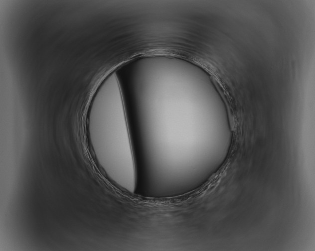 X0000097480289200802220826