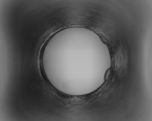 X0000097480290200802220826