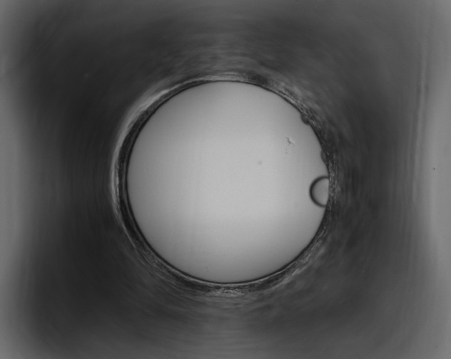 X0000097480294200802220826