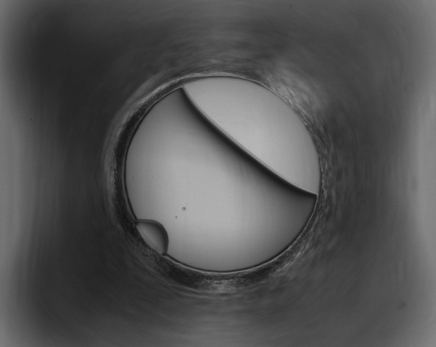 X0000097480295200802220826