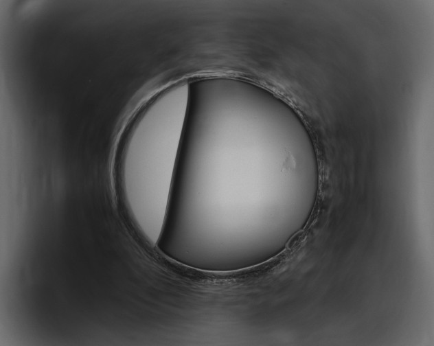 X0000097480296200802220826
