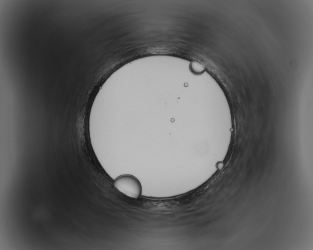 X0000097480297200802220826