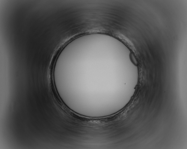 X0000097480298200802220826