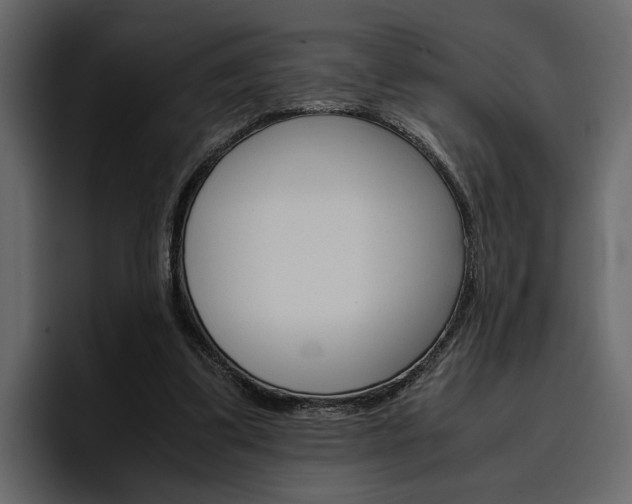 X0000097480299200802220826