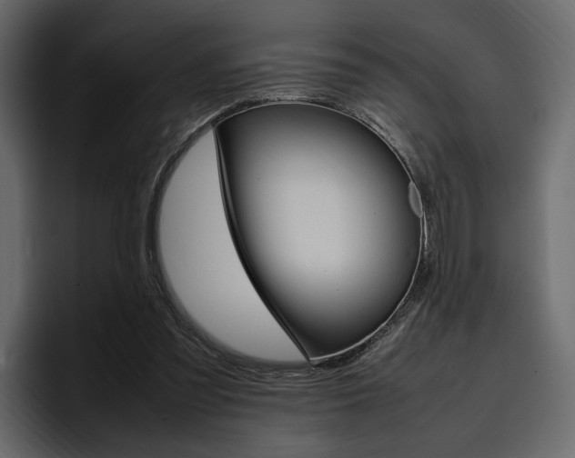 X0000097480301200802220826
