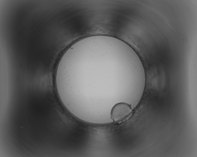 X0000097480302200802220826