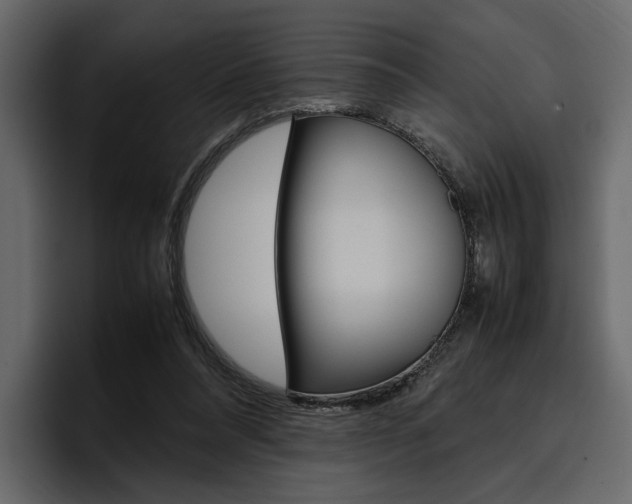 X0000097480304200802220826