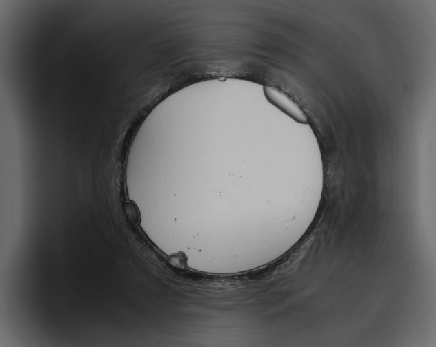 X0000097480305200802220826