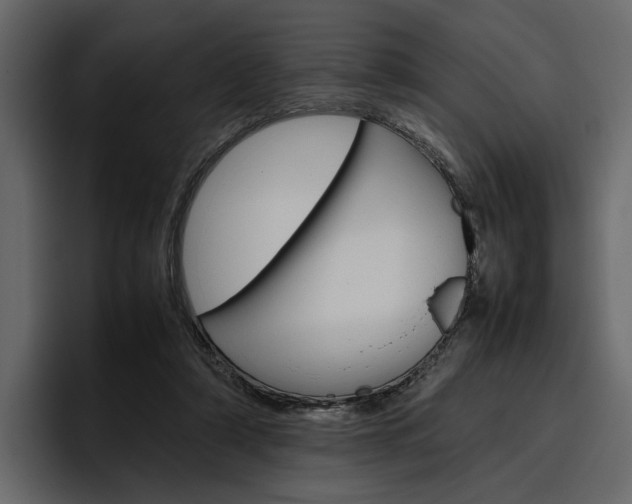 X0000097480306200802220826