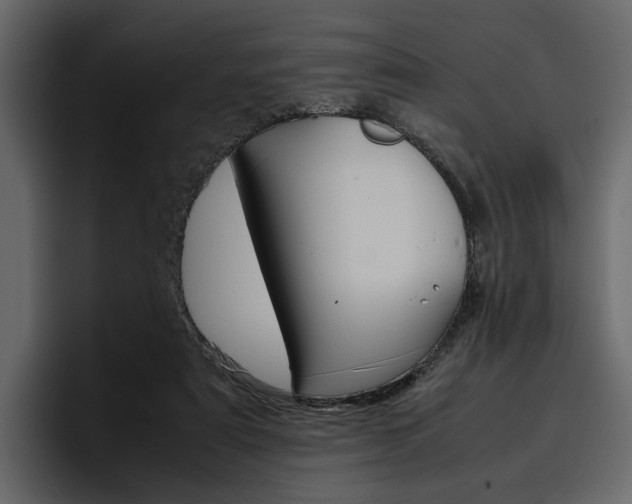 X0000097480307200802220826