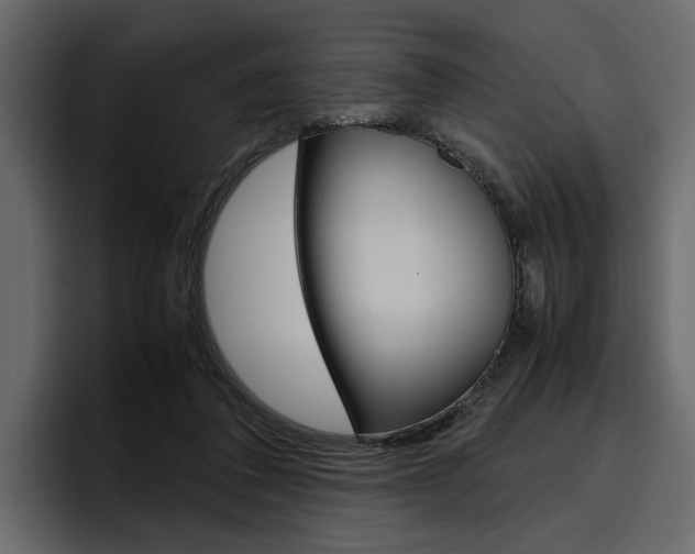 X0000097480308200802220826