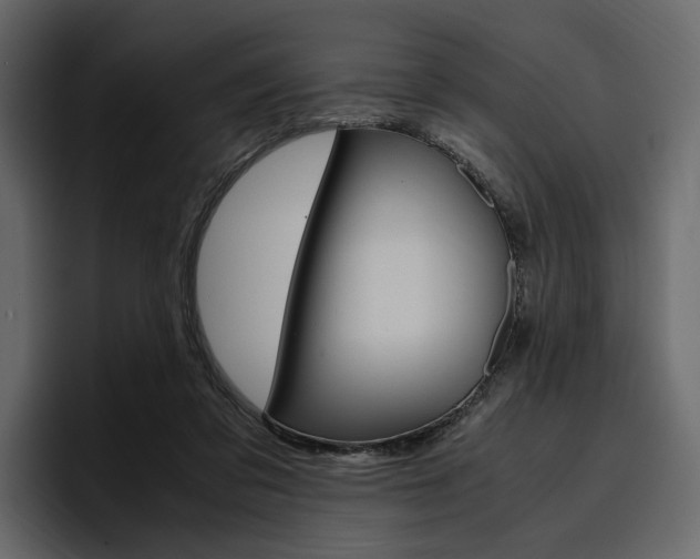 X0000097480309200802220826