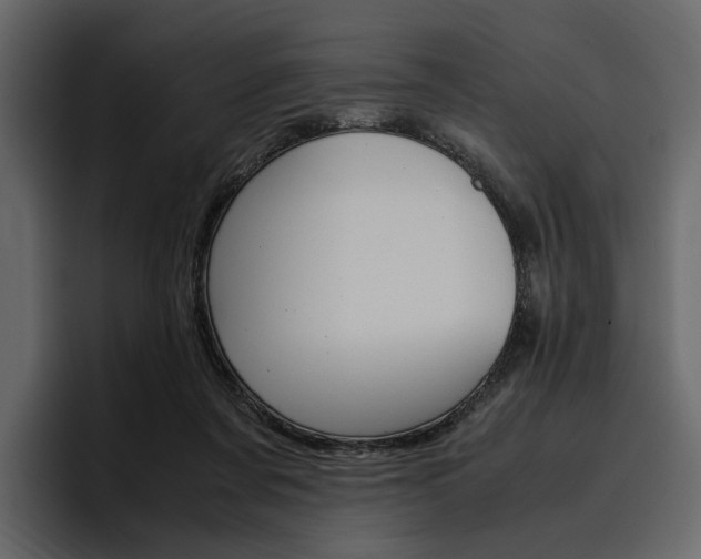 X0000097480311200802220826