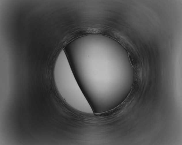 X0000097480312200802220826