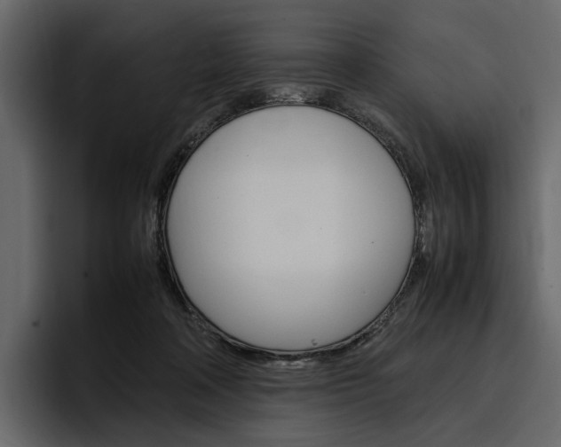 X0000097480314200802220826