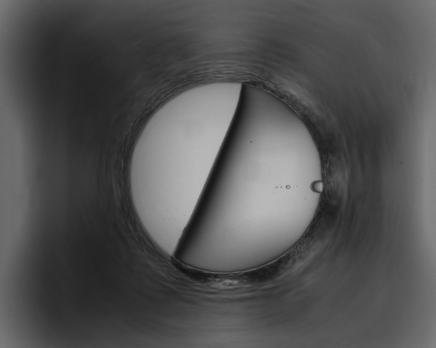 X0000097480315200802220826