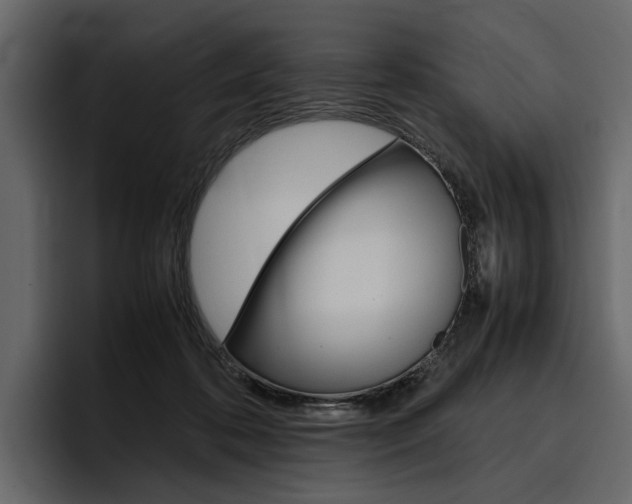 X0000097480316200802220826