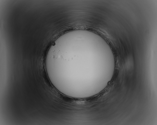 X0000097480318200802220826