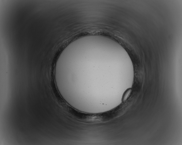 X0000097480319200802220826
