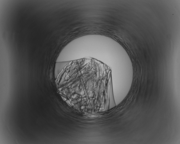 X0000097480323200802220826
