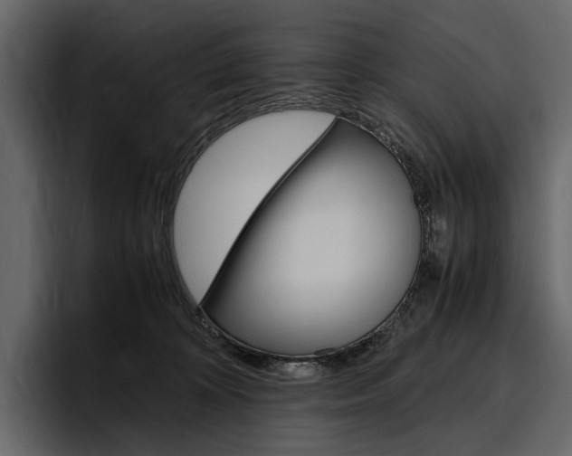 X0000097480324200802220826