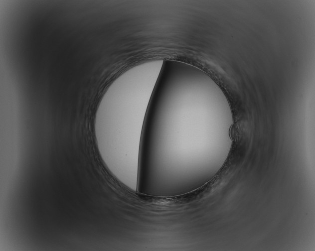 X0000097480325200802220826