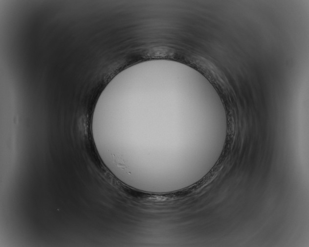 X0000097480326200802220825
