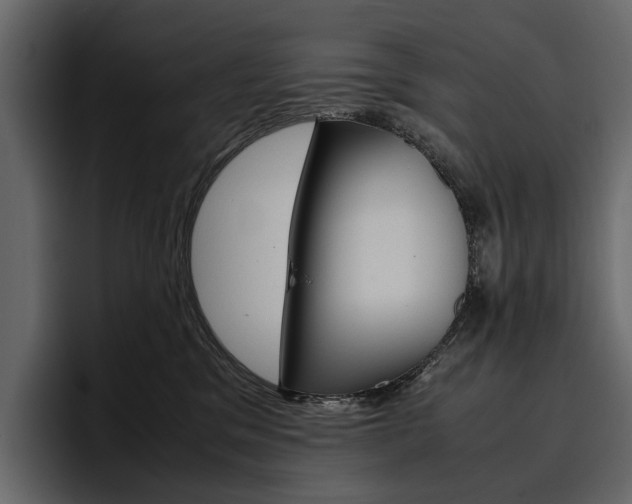 X0000097480329200802220825