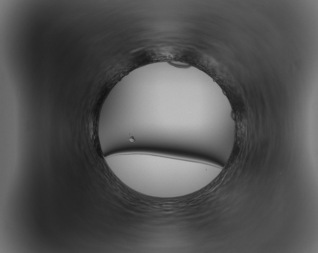 X0000097480331200802220825