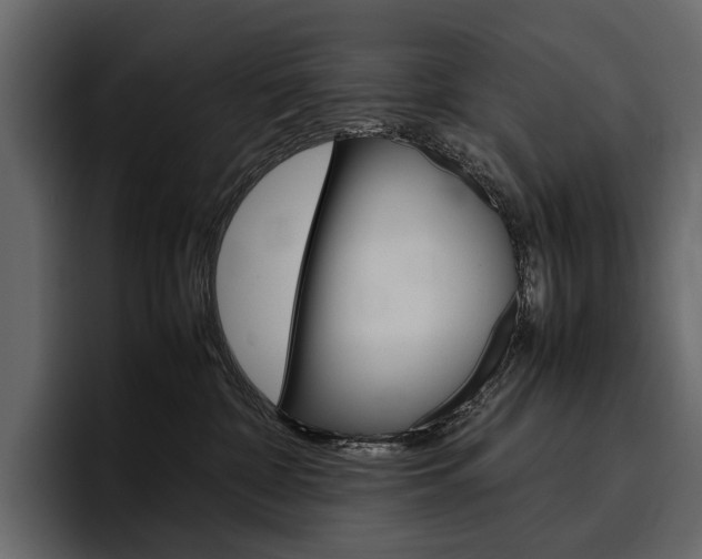 X0000097480332200802220825