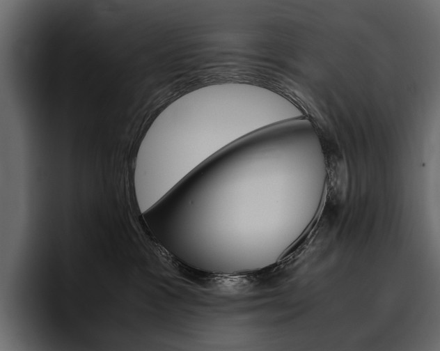 X0000097480333200802220825