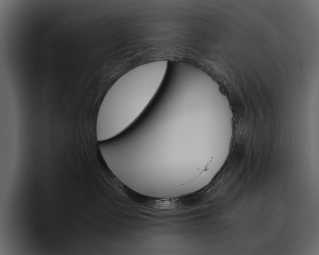 X0000097480335200802220825