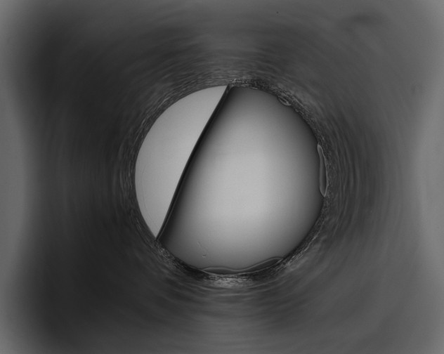 X0000097480336200802220825