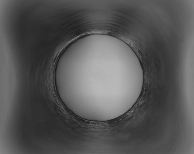X0000097480337200802220825