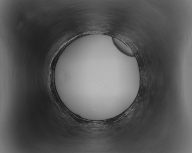 X0000097480338200802220825