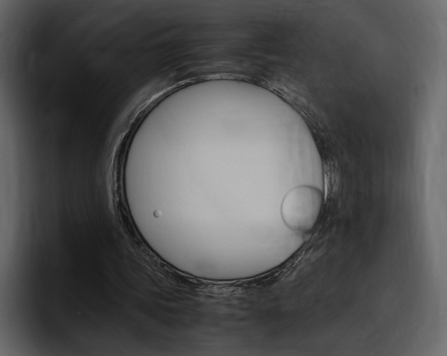 X0000097480339200802220825