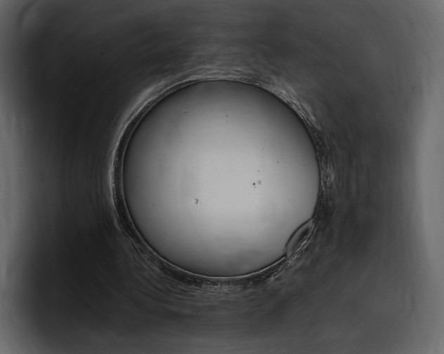 X0000097480340200802220825