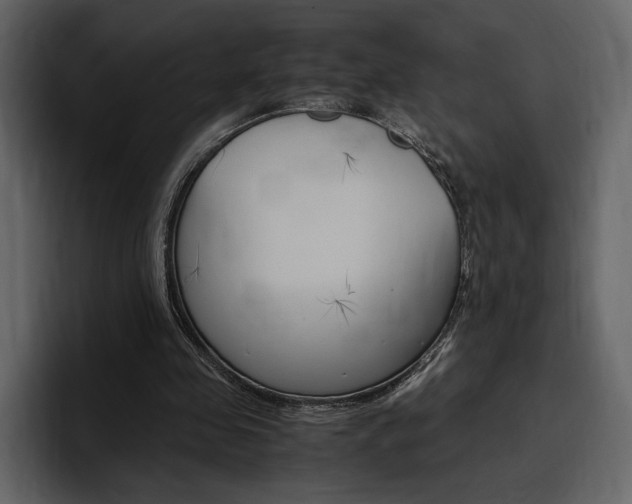 X0000097480341200802220825